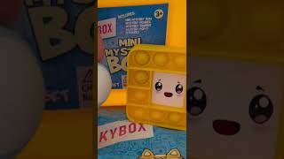 Lankybox Mystery box unboxing lankybox [upl. by Demott590]