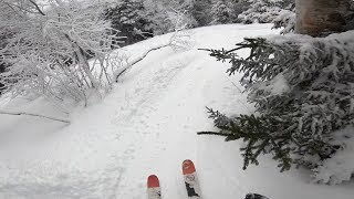 Skiing at Sugarbush in Early February  Paradise Ripcord amp More [upl. by Sheelah133]