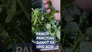 PANCIT PANCITAN GAMOT SA URIC ACID [upl. by Falconer985]