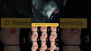 21 Weeks fetal movements babyultrasound fetalkicks babymovement [upl. by Betteann]