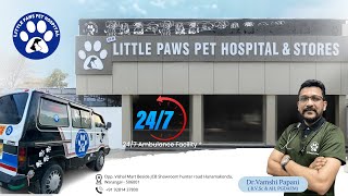 Introducing Little Paw Pet Hospital  247 Ambulance Availability  Your Pet Our Responsibility [upl. by Ala]