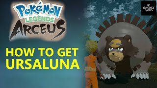 How to Get Ursaluna in Pokemon Legends Arceus  Peat Block [upl. by Zeiger]