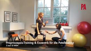 Exzentrik Übung für die Patellasehne ProAthletes amp ProTherapy [upl. by Teferi]