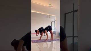 One leg up in downward facing dog pose yogaurmi yogapose shortvideo urmiyogaacademy shorts [upl. by Boser407]