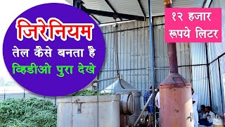 Geranium Oil plant  जिरेनियम तेल कैसे बनता है  Geranium oil distillation plant in Hindi geranium [upl. by Ecnesse]