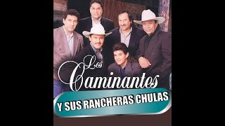 LOS CAMINANTES NO CANTAN MAL LAS RANCHERAS [upl. by Reiniar]