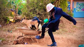 Gravity Omutujju Ft Mzee Jjemba  Tusimbudde  UGAdance Kids Africa  Ba bad boys 😂 [upl. by Lodie]