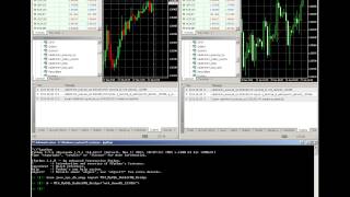 Metatrader 4 JSON RPC with RabbitMQ and MySQL [upl. by Lapo329]