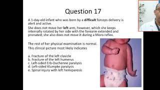 MCQ1718Erbs palsy klumpke diaphragmtic paralysis fracture clavicle humerus phrenic birth injury [upl. by Ayalat908]