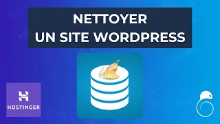 Comment nettoyer un site WordPress  Database Cleaner  Hacking SEO [upl. by Drofkcor]