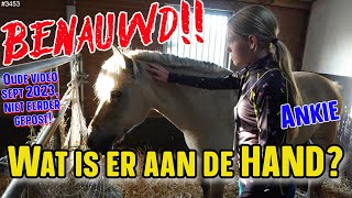 Paard Ankie kreeg het BENAUWD Daarom de LES ZELF op ASTRA gereden OUDE VIDEO Sept 2023 3453 [upl. by Acirre414]