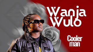 Wanjawulo  Coolerman Kawooya  Official Audio [upl. by Eisor]