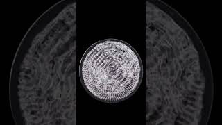 Equilibrium Tube  Himmelsrand Cymatic Music Video [upl. by Vassili]