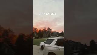 Pink skies pinkskies morning [upl. by Solotsopa544]