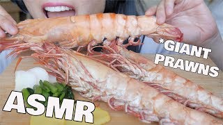 ASMR GIANT Prawns EATING SOUNDS  SASASMR [upl. by Fesoj70]