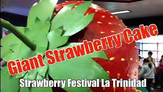 Giant Strawberry Cake amp Float Display from Festival in La Trinidad [upl. by Romola]