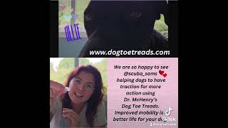 Mobility support for dogs DOGTOETREADSCOM [upl. by Felt]