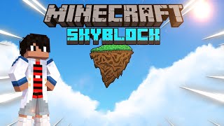 🏝️NOVO SERVIDOR de SKYBLOCK 18 [upl. by Rains]