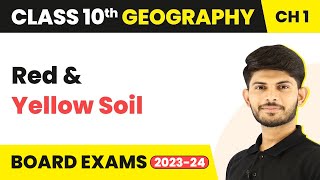 Class 11 Geography Chapter 6  Red and Yellow Soil  Soils [upl. by Trebla]