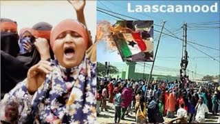 DAAWO Shacabka oo Hubka Qaatay iyo Ciidanka Somaliland oo Lagu Bahdilay Laascaanood [upl. by Enaenaj]