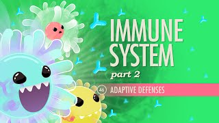 Immune System Part 2 Crash Course Anatomy amp Physiology 46 [upl. by Ravel]