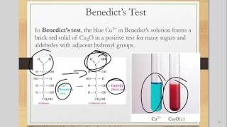 reactions of alcohols thiols aldehydes and ketones [upl. by Lindell]