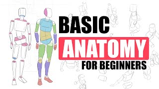 The First EASY Step To Draw Bodies For Beginners [upl. by Inittirb739]