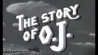 JayZ  The Story Of OJ [upl. by Dinan]