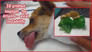 Atlantoaxial instability 3D personalized implant for a dog [upl. by Lindell432]