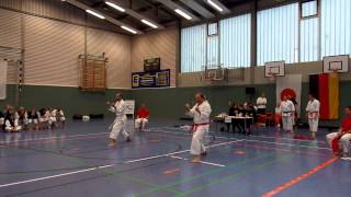 FudoshinRyu Cup 2013  Stefan Hansmann und Stefan Salbach Turnier  Kata Jion  Vorrunde [upl. by Buehler28]