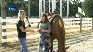 LIVE at Six Tippecanoe County 4H Fair [upl. by Nahtan]