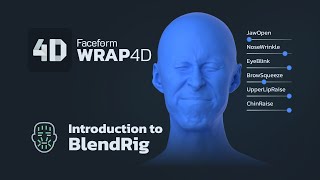 Introduction to BlendRig in Wrap4D [upl. by Cosenza]