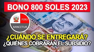 Bono 800 soles 2023  LINK consulta DNI cuándo se otorgará y quiénes acceden al subsidio [upl. by Suoirtemed653]