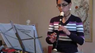 Sonata in G minor for alto recorder 4th movement presto [upl. by Mendelson]