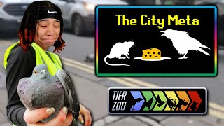 TierZoo  The City Animal Tier List Rats Swim In Toilets [upl. by Steffy886]