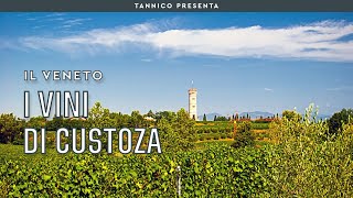 I vini di Custoza  Tannico Flying School [upl. by Aynatahs660]