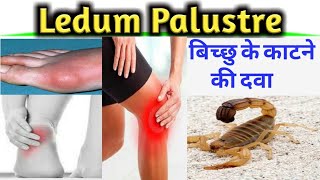 Ledum Pal II Ledum Palustre II Ledum Pal Homeopathic Medicine II Ledum Palustre Homeopathy [upl. by Gwenny]