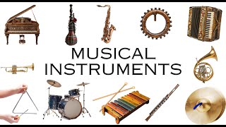 Musical Instruments for Kids Fun Learning Woodwind Brass Percussion and Keyboard Instruments [upl. by Direj]