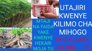 PATA ZAIDI YA MIL 10 KWENYE KILIMO CHA MIHOGO [upl. by Yclehc]