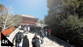 【4K】 Kamakura Walk from Tsurugaoka Hachimangu Shrine to Yuigahama Beach  Japan [upl. by Niraj]