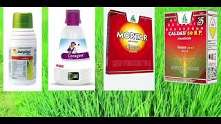 Best Insecticides for Paddy Telugu  వరి పొట్టదశలో ఉపయోగించె best Insecticides [upl. by Razaile119]