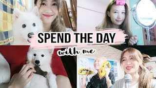 Spend the day with me  MY PUPPY amp WHO IS A DIVA [upl. by Sesilu]