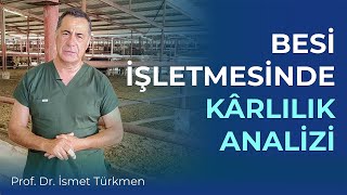 Besi İşletmelerinde Kârlılık Analizi [upl. by Niuq]