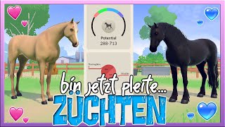 wir ZÜCHTEN 🐴✅ bis wir PLEITE sind 💸❌ woops 🤯 Equestrian the Game [upl. by Mort289]