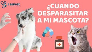 DESPARASITACIÓN EN PERROS Y GATOS  Lauvet [upl. by Anema667]