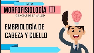 EMBRIOLOGIA DE CABEZA Y CUELLO [upl. by Compte]