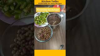 Karonde ka achar 😍  करौंदे का अचार  Easy cooking recipes in hindi shorts [upl. by Aldo]