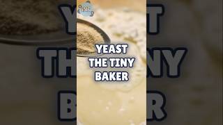 How Yeast Changed Baking Forever [upl. by Arron21]