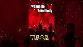 Wasp — I wanna Be Somebody ♥️🛑🚀 [upl. by Aissatan]