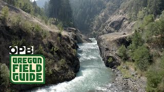 The White Salmon River after Condit dam  Oregon Field Guide [upl. by Esimehc491]